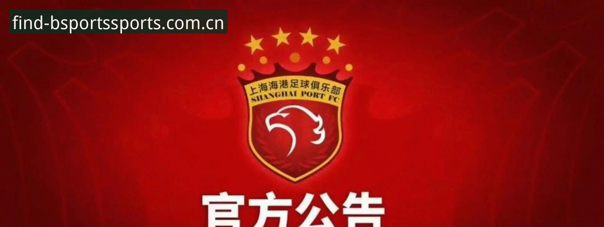足协第三批禁足名单深度解析：足球反腐实用知识指南